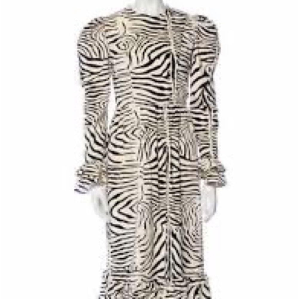Zebra Print Long Sleeve Midi Dress - Black & White - Picture 11 of 11